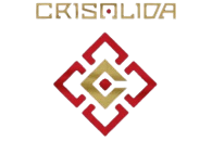 CRISALIDA ha creado un estilo que une influencias del rock y metal progresivo con un discurso donde convergen el respeto por la madre naturaleza y la crítica social. En noviembre de 2024 lanzan su álbum Niños Dioses que habla de lo vivido por niños y adolescentes que fueron ofrendados al sol a lo largo de la Cordillera de los Andes