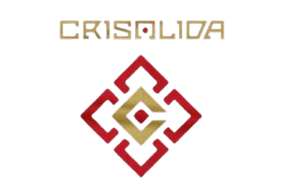 CRISALIDA ha creado un estilo que une influencias del rock y metal progresivo con un discurso donde convergen el respeto por la madre naturaleza y la crítica social. En noviembre de 2024 lanzan su álbum Niños Dioses que habla de lo vivido por niños y adolescentes que fueron ofrendados al sol a lo largo de la Cordillera de los Andes